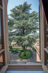 Zahrada ubytování Castello Di Mornico Losana