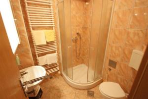 a bathroom with a shower and a toilet at One-Bedroom Apartment in Crikvenica I in Dramalj