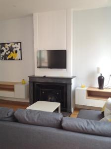 a living room with a couch and a fireplace at Charme et Modernité au Cœur de Lyon in Lyon