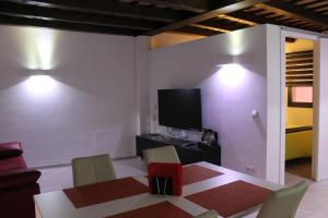 A television and/or entertainment centre at Apartaments y Habitacions Entre Volcans