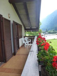 Příroda nedaleko apartmánu