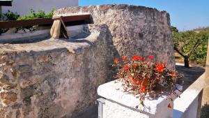 アッリステにあるTrullo Don Gabrielの石垣に座る赤い花瓶