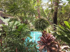 Refillnow! Hostel في بانكوك: حديقة فيها مسبح وسط النباتات