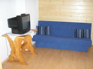 uma sala de estar com um sofá azul e uma televisão em Appartement Bischof em Schoppernau