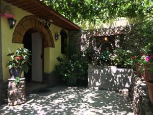 a courtyard of a house with flowers and plants at Karafil Guesthouse in Gjirokastër