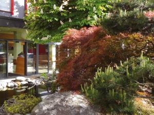 Zahrada ubytování Avenon Privat-Hotel Am Steinberg