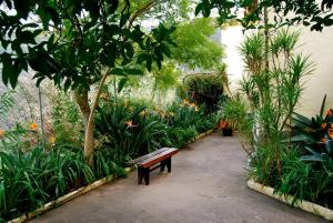 A garden outside Casa Rural de Tío Félix
