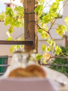 Fotografie z fotogalerie ubytování Villa Archanes v destinaci Archanes