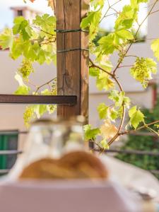 einem nahe gelegenen Waschbecken mit grünen Blättern in der Unterkunft Villa Archanes in Archanes