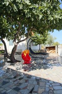 Gallery image of Villa Croatia in Srima