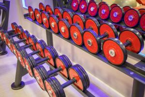 Gimnasio o instalaciones de fitness de Hotel Romerito