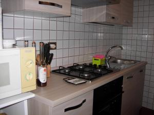 Kuchyň nebo kuchyňský kout v ubytování Martorey CIR 10