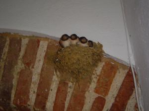 Afbeelding uit fotogalerij van Las Navezuelas in Cazalla de la Sierra