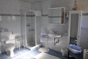 łazienka z prysznicem, umywalką i toaletą w obiekcie Haus Assinger w mieście Hermagor