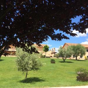 a green field with trees and buildings in the background at Luxardotel in Rome