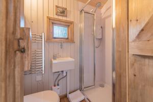a bathroom with a toilet and a sink and a shower at Craven Shepherd Huts in Appletreewick