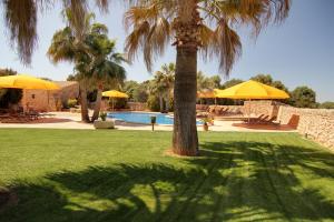 The swimming pool at or close to Puig de Ros d’Alt