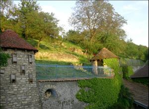 Příroda nedaleko bed and breakfast