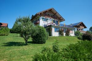 a house on top of a hill with a tree at Haus Daheim in Oberstaufen