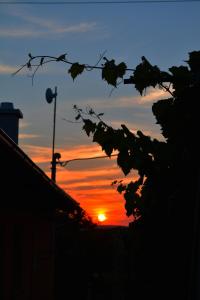 Imagen de la galería de Ubytovani U Ruzenky, en Velké Bílovice