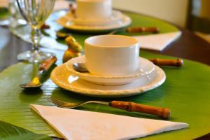un tavolo verde con una tazza e dischi di Villa Coração a Monte Verde