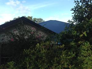 山景或在住宿加早餐旅馆看到的山景