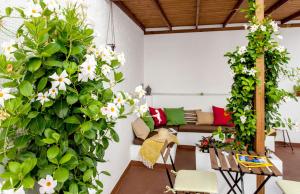 a living room with green plants and a couch at City Garden Bed and Breakfast in Valencia
