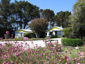 a garden with pink flowers in front of a house at King Island Accommodation Cottages in Naracoopa