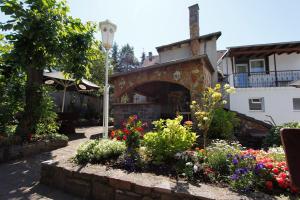 Zahrada ubytování Hotel Adria Stuben