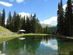 Paesaggio naturale nelle vicinanze dell'affittacamere