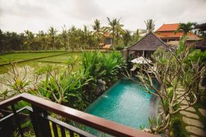 Kolam renang di atau di dekat Taman Amartha Hotel
