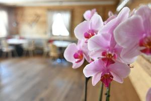 Fotografie z fotogalerie ubytování Hotel Kristall v destinaci Maranza