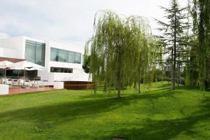 a tree in front of a white building at Finca Prats Hotel Golf & Spa in Lleida