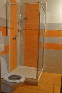 a bathroom with a shower and a toilet at Penzion Mlýn Sedlec in Sedlec