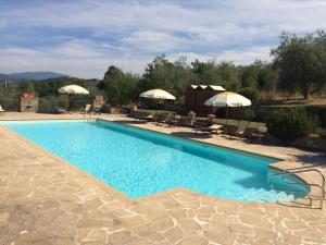 einen Pool mit Stühlen und Sonnenschirmen im Hof in der Unterkunft Terre Di San Gorgone in Donnini