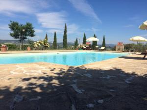 ドンニーニにあるTerre Di San Gorgoneのギャラリーの写真