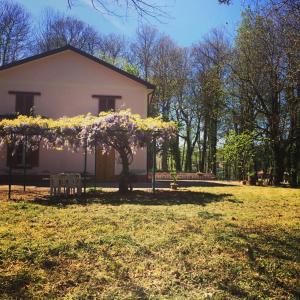 een huis met een boom met paarse bloemen erop bij B&B Al Boschetto in Nemoli