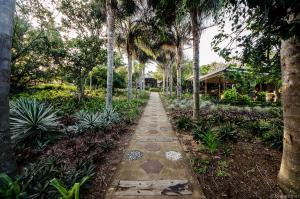 un sentiero attraverso un giardino con alberi e piante di Lidiko Lodge a St Lucia