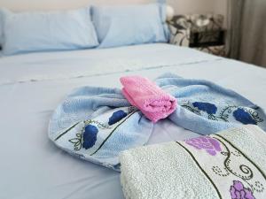 Voodi või voodid majutusasutuse Apartment Cace toas