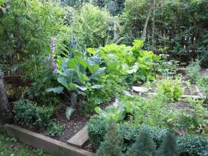 Gallery image of Appartementhaus Dargham in Strobl +17 photos