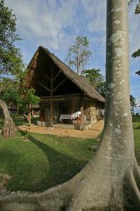 Photo de la galerie de l'établissement Eden Lodge, à Madirokely