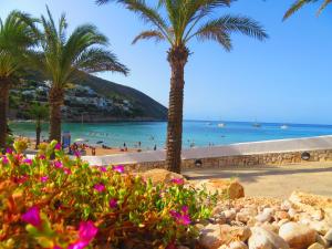 a beach with palm trees and people in the water at HOTEL MAÑET in Moraira