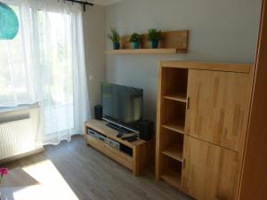 a living room with a television and a wooden entertainment center at Welterbe Mittelrhein in Biebernheim