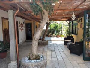 Residence Giardino del Sole外面的花园