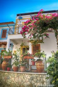 un edificio bianco con fiori sul balcone di La Casa di Ivana a San Nicola Arcella