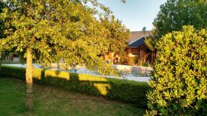 una casa con piscina en un patio en Posada Via Verde en Gualeguaychú