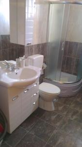 a bathroom with a toilet and a sink and a shower at Apartment Feliks in Mandre