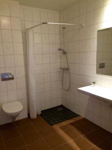 a bathroom with a shower and a toilet and a sink at Hotel Smyrlabjörg in Skálafell