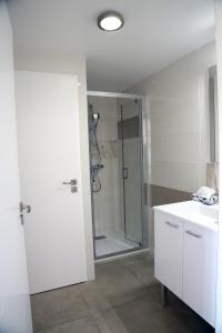 ein Bad mit einer Dusche und einer Glastür in der Unterkunft Naiades appartement in Le Lavandou