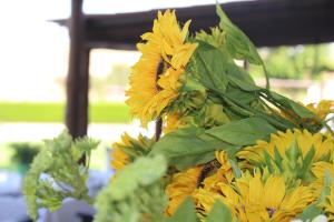 Un mucchio di girasoli gialli con un'ape sopra. di Monte Da Morena Agro-Turismo a Serpa